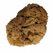 ����� ������� ����������� 120��