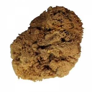 ����� ������� ����������� 120��