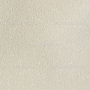 ������ ���� Silk Plaster ������ 1005