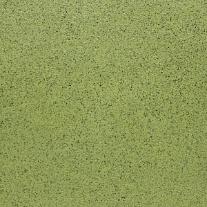 ������ ���� Victoria Du Monde ���� (La Loire) �210