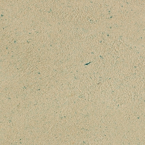������ ���� Silk Plaster ������-1 155