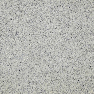 ���� ������ Silk Plaster ������ ���� MS-124