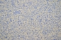 ������ ���� Silk Plaster ������ 326