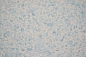 ������ ���� Silk Plaster ������ 329