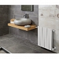 �������� ��������������� Royal Thermo PianoForte 500/100 ����� (RTPW3050010), Bianco Traffico 10 �. (1�890 ��)