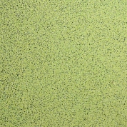 ������������ ���������� Silk Plaster ������� 037 (5 ��)