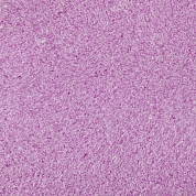 ���� ������ Silk Plaster ��� ������-2 271