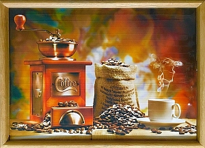 ������������ ������� �3 ���� (32�44 ��)-50��