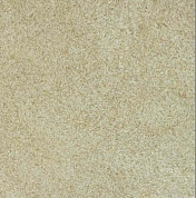 ���� ������ Victoria Du Monde ������� (Versailles II) �1101