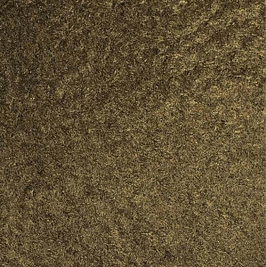 ������ ���� Victoria Du Monde ������� (Versailles II) �1110