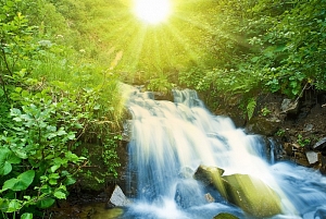 ������ ����-500/1,4*0,70 ������� 1 ���������