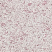 ���� ������ Silk Plaster ������ 331