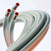 ����� ���� �����. ��� 10�� Lavita