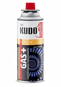 ������ �������� ������� ������/����� ������������� 220 �� KUDO