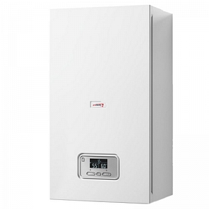 ������������� ����� Protherm Skat 24 ���