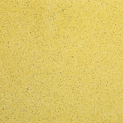 ������������ ���������� Silk Plaster ������� 031 (5 ��)