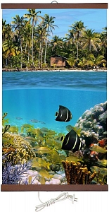 ������ ��������� ������������ ����� (100�58��) 400 ��