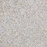 ���� ������ Silk Plaster ������� 406