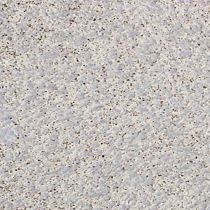 ���� ������ Silk Plaster ������� 406