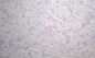 ������ ���� Silk Plaster ��� ���� 612