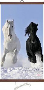 ������ ��������� ������������ ���� � (100�58 ��)-400��